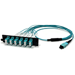 12 Fiber Multimode 50/125 OM4 10/40/100 GIG 1 X 12 MTP/MPO Female to 12 LC LGX Adapter Panel Cable Harness by QuickTreX®