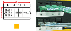 Patch Panel, Outlet and Faceplate Markers