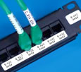 Patch Panel Identification Brady Labels
