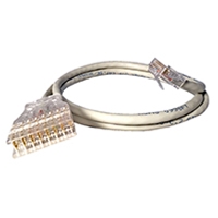 110 to RJ45 Cat 5E Custom Ethernet Patch Cables made in the USA