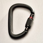 Heavy Duty 4.5 Inch Locking Carabiner