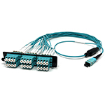 24 Fiber Multimode 50/125 OM4 10/40/100 GIG 1 X 24 MTP/MPO Female to 24 LC LGX Adapter Panel Cable Harness by QuickTreX