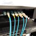Patch Cables Installed in 12 Fiber Adapter Panel