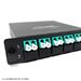MTP® 12 Fiber (1 X 12 MTP Male) to 12 LC (6 Duplex Adapters) Multimode OM4 Low Loss LGX Cassette with Genuine US Conec® Connector by QuickTreX®