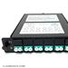 MTP® 12 Fiber (1 X 12 MTP to 12 LC (6 Duplex Adapters) Multimode OM4 Low Loss LGX Cassette