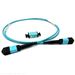 12 Fiber Multimode OM4 50/125 (1 X 12) MPO/MTP Gender Changing Kit for Changing MPO/MTP Female (No Pins) to Male (Pins) - Includes 1 Meter 12 Fiber MPO Male to Male Riser Rated Method A Cable and MPO/MTP Coupler
