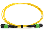 3 Meter Stock Senko MPO Singlemode APC 12 Fiber Cable - Female/Female Method A - Straight Through