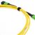Stock Senko MPO Singlemode 12 Fiber Cable - Female/Female Method A - Straight Through
