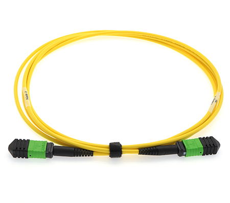 10 Meter Stock Senko MPO Singlemode APC 12 Fiber Cable - Female/Female Method A - Straight Through